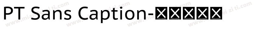 PT Sans Caption字体转换